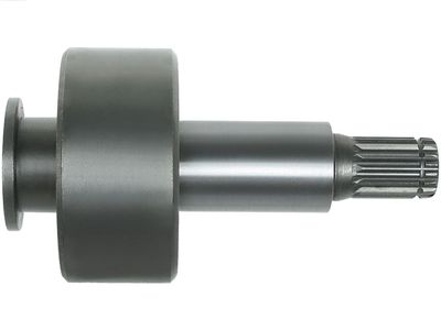 AS-PL Ritzel, Starter