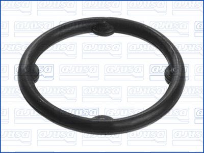 GARNITURA CONDUCTA LICHID DE RACIRE