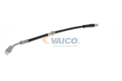 FURTUN FRANA VAICO V404110 59