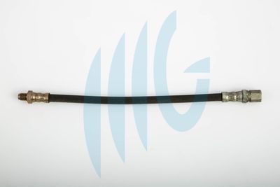 Тормозной шланг RICAMBIFLEX GM 02120125 для FIAT 1100-1900