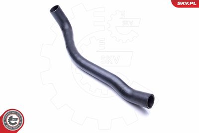 FURTUN EAR SUPRAALIMENTARE