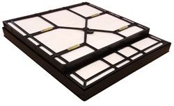 ALCO FILTER Oro filtras