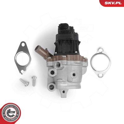 SUPAPA EGR ESEN SKV 14SKV313