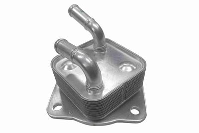 RADIATOR ULEI ULEI MOTOR