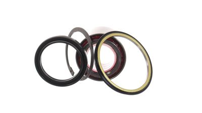 SET RULMENT ROATA SKF VKBA3219 19