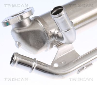 RADIATOR RECIRCULARE GAZE DE ESAPAMENT TRISCAN 881329335 1