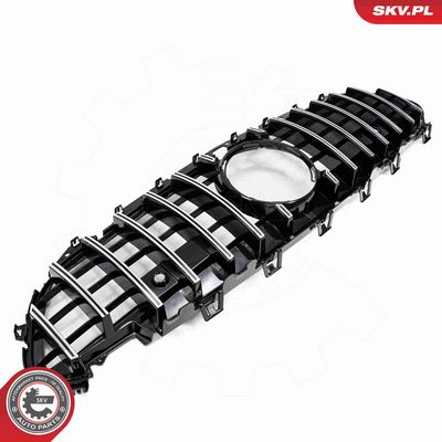 GRILA RADIATOR ESEN SKV 66SKV591 3