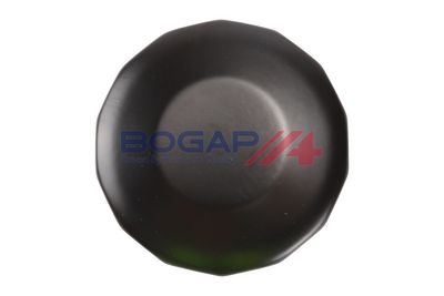 Hydraulický filter automatickej prevodovky BOGAP EV1020333