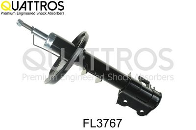 AMORTIZOR DAVID VASCO FL3767 1
