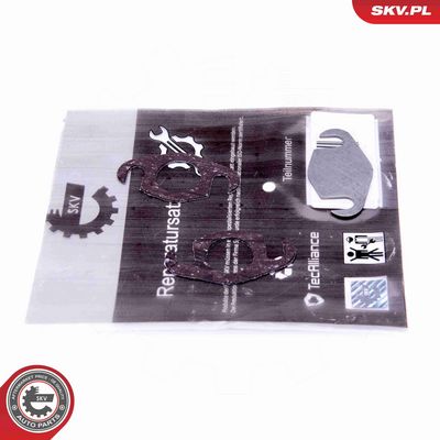 ESEN SKV - Súprava na opravu, ventil AGR , 14SKV560