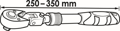 Vorschau V6638N