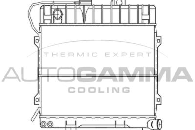 AUTOGAMMA 100089 Крышка радиатора  для BMW 3 (E30) 316