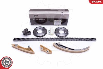 Timing Chain Kit 21SKV245