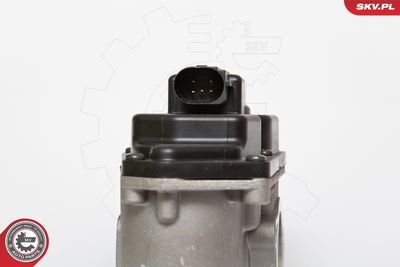 EGR Valve 14SKV085