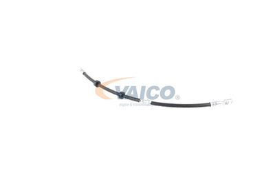 FURTUN FRANA VAICO V104226 30