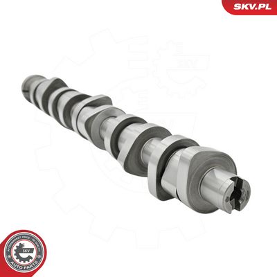 SET AX CU CAME ESEN SKV 80SKV305 4