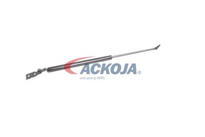 FILTRU AER ACKOJA A320034 55