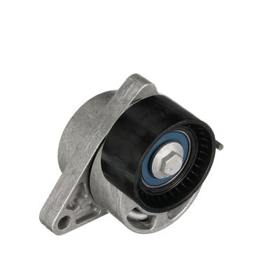 INTINZATOR CUREA CUREA DISTRIBUTIE GATES T39086 48