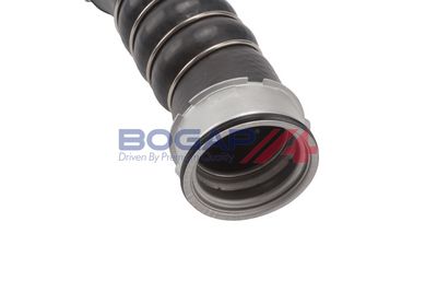FURTUN EAR SUPRAALIMENTARE BOGAP B1711151 1