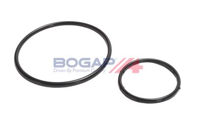 POMPă DE APă RăCIRE MOTOR BOGAP Y4234108 7
