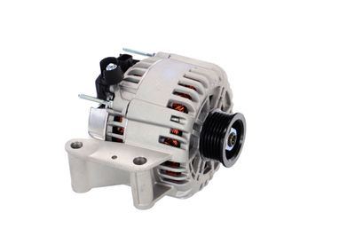 GENERATOR / ALTERNATOR REMANTE 011003000395R 49
