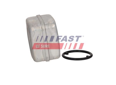 RADIATOR ULEI ULEI MOTOR FAST FT00655 9