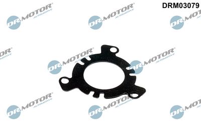 Pierścień uszczelniający, pompa wtryskowa DR.MOTOR AUTOMOTIVE DRM03079