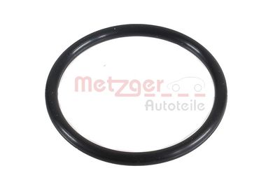 DICHTRING LADELUFTSCHLAUCH