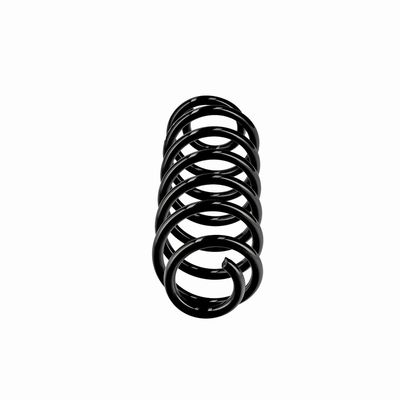 ARC SPIRAL EIBACH R10795 13
