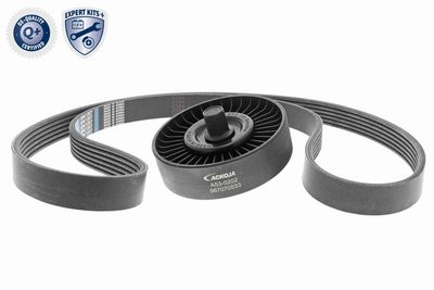 SET CUREA TRANSMISIE CU CANELURI