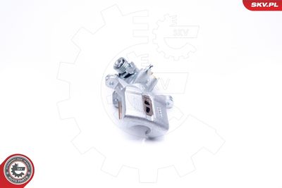 Brake Caliper 34SKV893