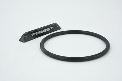 ETANșARE CARCASă CLAPETă FEBEST RINGAH010 20