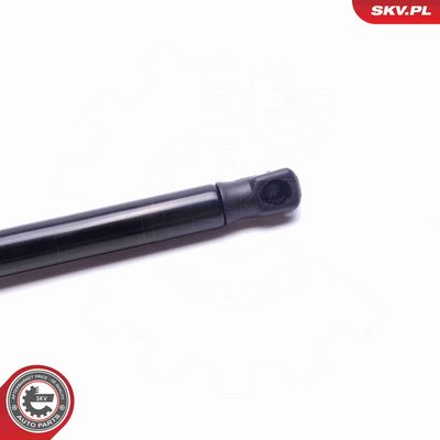 AMORTIZOR PORTBAGAJ ESEN SKV 52SKV668 2