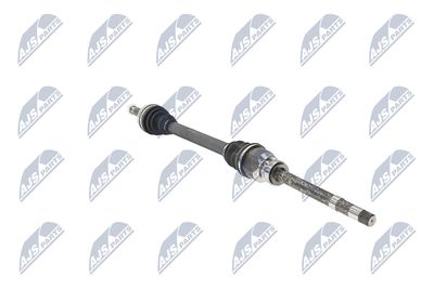 PLANETARA NTY NPWPE101 31