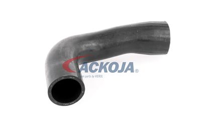 FURTUN EAR SUPRAALIMENTARE ACKOJA A389600 53