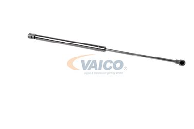 AMORTIZOR PORTBAGAJ VAICO V101935 16