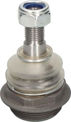 ARTICULATIE SARCINA/GHIDARE