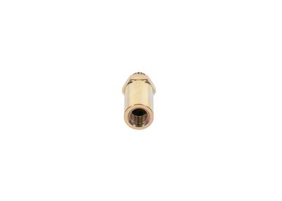 Bosch Fuel Injection System Valve 2 417 413 107