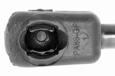 GASFEDER KOFFER-/LADERAUM VAICO V460438 2