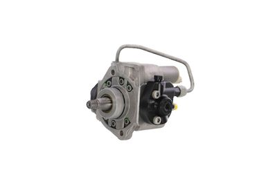 POMPA DE INALTA PRESIUNE REMANTE 002002001496R 7