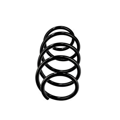 ARC SPIRAL EIBACH R10165 13