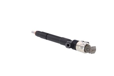 INJECTOR REMANTE 002003000085R 19