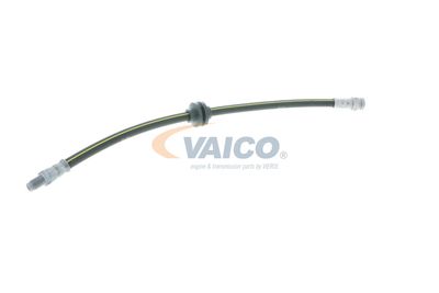 FURTUN FRANA VAICO V240954 46