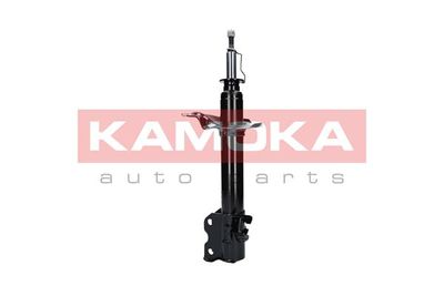 Shock Absorber 2000306