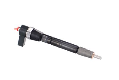 INJECTOR REMANTE 002003001146R 45