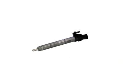 INJECTOR REMANTE 002003001368R 9