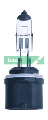 LUCAS Glühlampe, Abbiegescheinwerfer Lucas (LLB880)