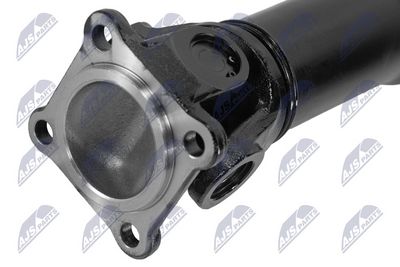 AX CARDANIC ANTRENAREA ARBORELUI NTY NWNLR045 3