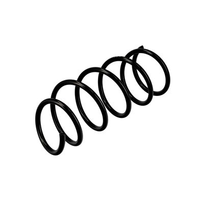 ARC SPIRAL EIBACH R10077 16