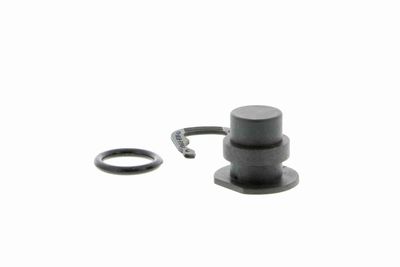 CAPAC FLANSA SISTEM DE RACIRE VAICO V100492 4